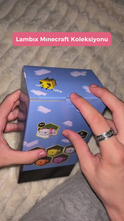 Minecraft Axolotl Lamba